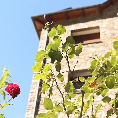 Apartment Apartaments Vilaro Llorts